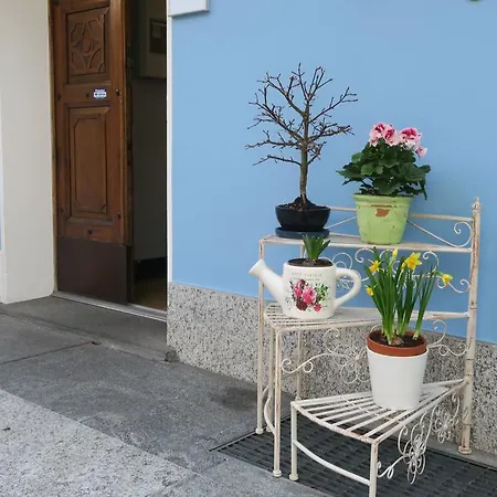 Hotel Piccolo 3*